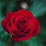 Instantes eternos | Evangelio del 24 de agosto
