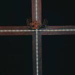 La autoridad del dolor | Evangelio del 23 de noviembre