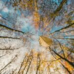 Dos mundos, dos reinos, dos vidas | Evangelio del 9 de noviembre