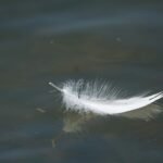 Ni un solo cabello de ustedes se perderá | Evangelio del 16 de noviembre